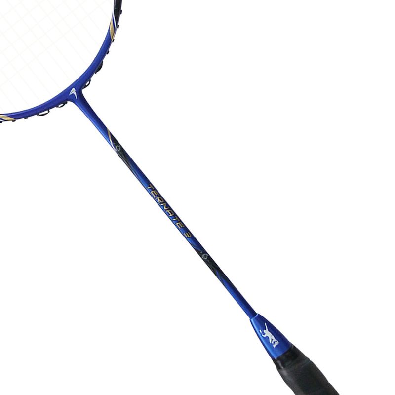 Flypower METEOR